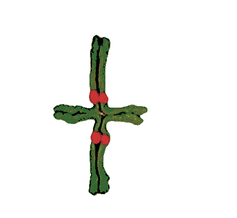 Cette croix ...