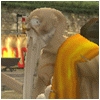 L'arbitre