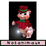 Nos animaux !